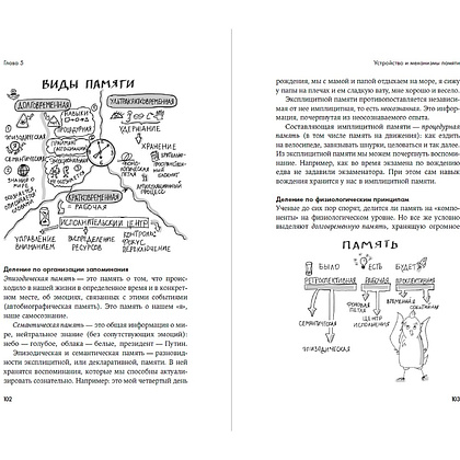 Книга "Мозг в порядке. Как улучшить память, справиться с перегрузкой и вернуть ясность ума", Елена Сосновцева - 3