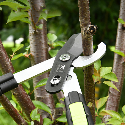 Секатор садовый "Deli", 630-870 мм, телескопический, черный, зеленый - 4