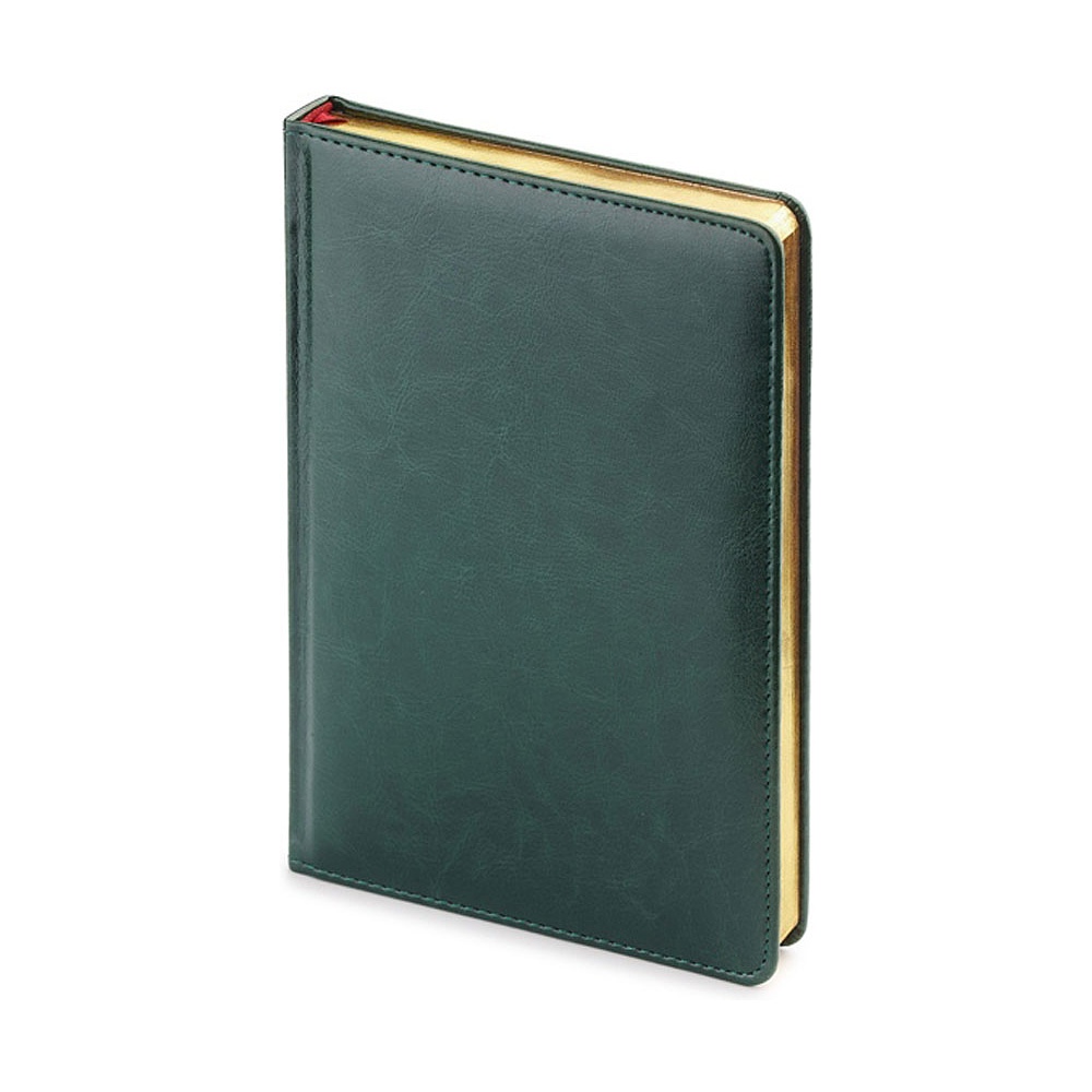 Ежедневник недатированный "Sidney Nebraska", А5, 272 страницы, зеленый