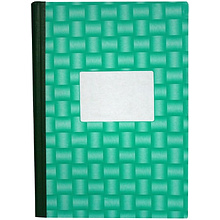 Книга канцелярская "Колор", A4, 100 листов, клетка, зеленый