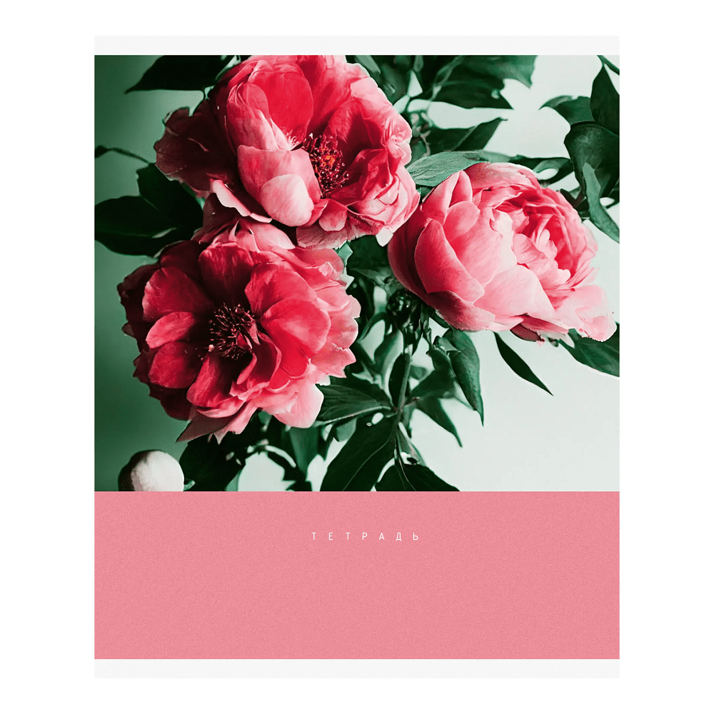 Тетрадь "Цветочный сад", А5, 48 листов, клетка, скоба сбоку, ассорти - 3