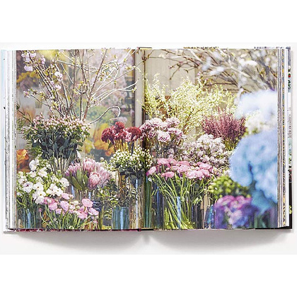 Книга на английском языке "New York in Bloom", Lane G. - 4