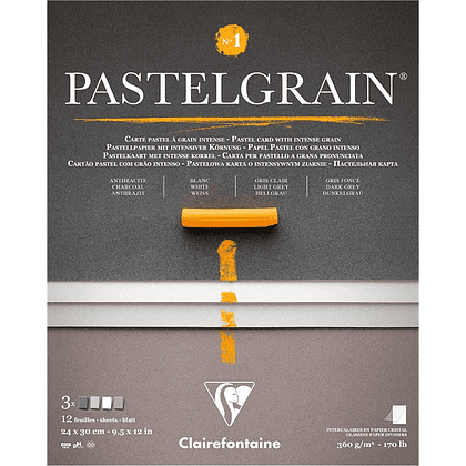 Блок бумаги для пастели "PastelGrain" 4 оттенка, 24х30см, 360 г, 12 листов, №1