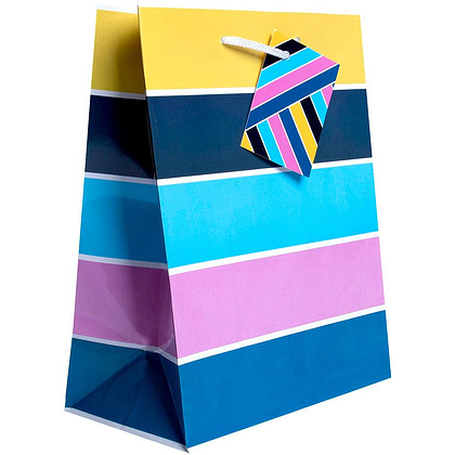 Пакет бумажный подарочный "Насыщенность", 17.8x22.9x9.8 см, ассорти - 2