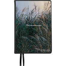 Ежедневник недатированный "Волнение", Валерий Шкарубо, А5, 272 страницы, черный