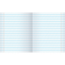 Тетрадь "Любимая палитра", A5, 12 листов, частая косая линейка, ассорти