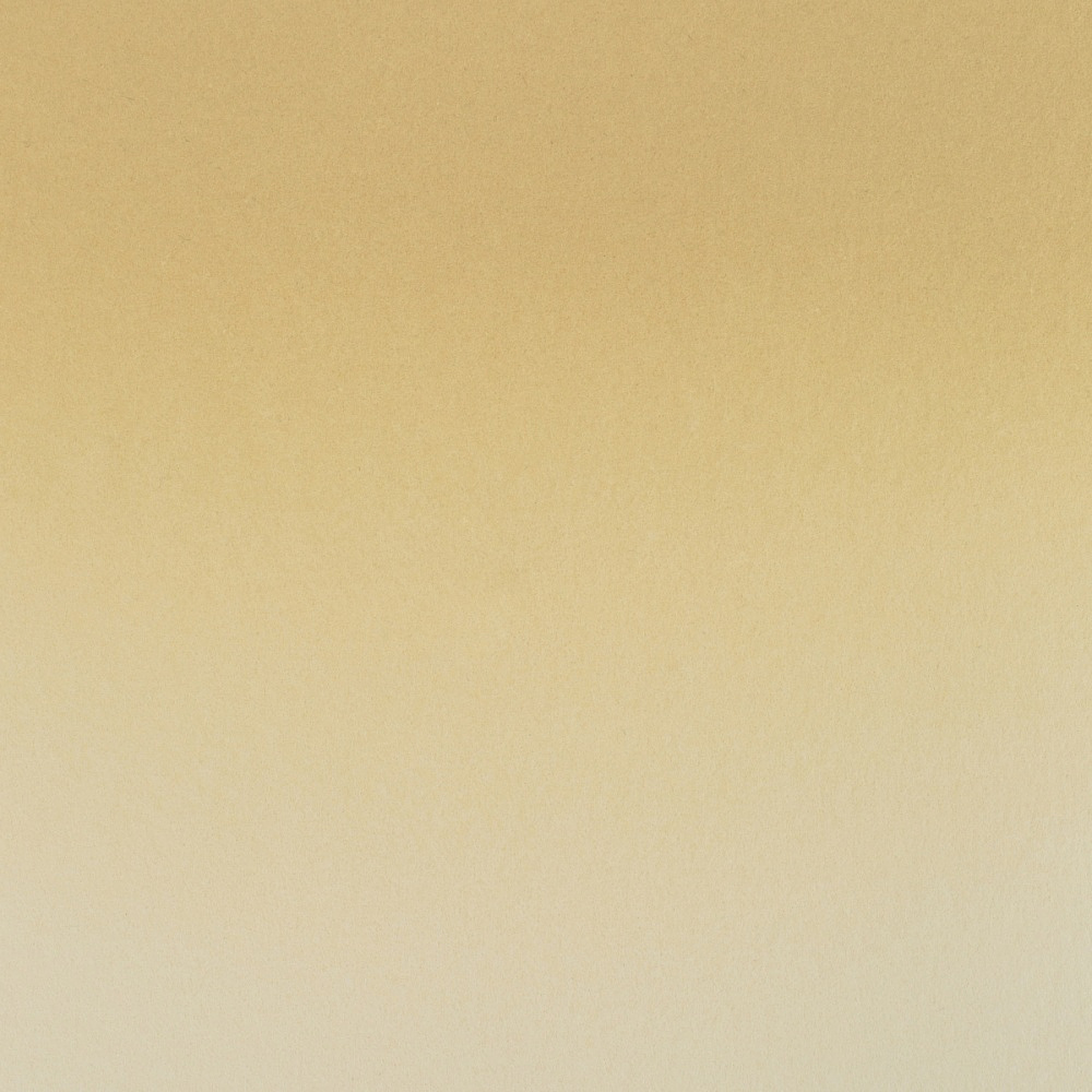 Краски акварельные "Белые ночи", 258 охра петербургская, 10мл., туба - 3