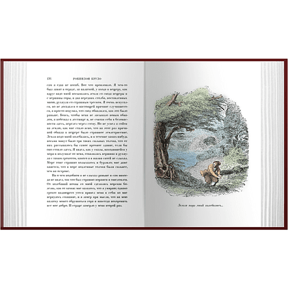 Книга "Робинзон Крузо", Даниэль Дефо - 3