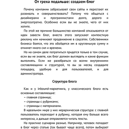 Книга "Безгрешный маркетинг. Первая книга про inbound", Анастасия Мартынова - 6