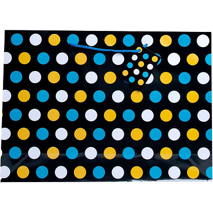 Пакет бумажный подарочный "Разнообразие",17.8x22.9x9.8 см, ассорти