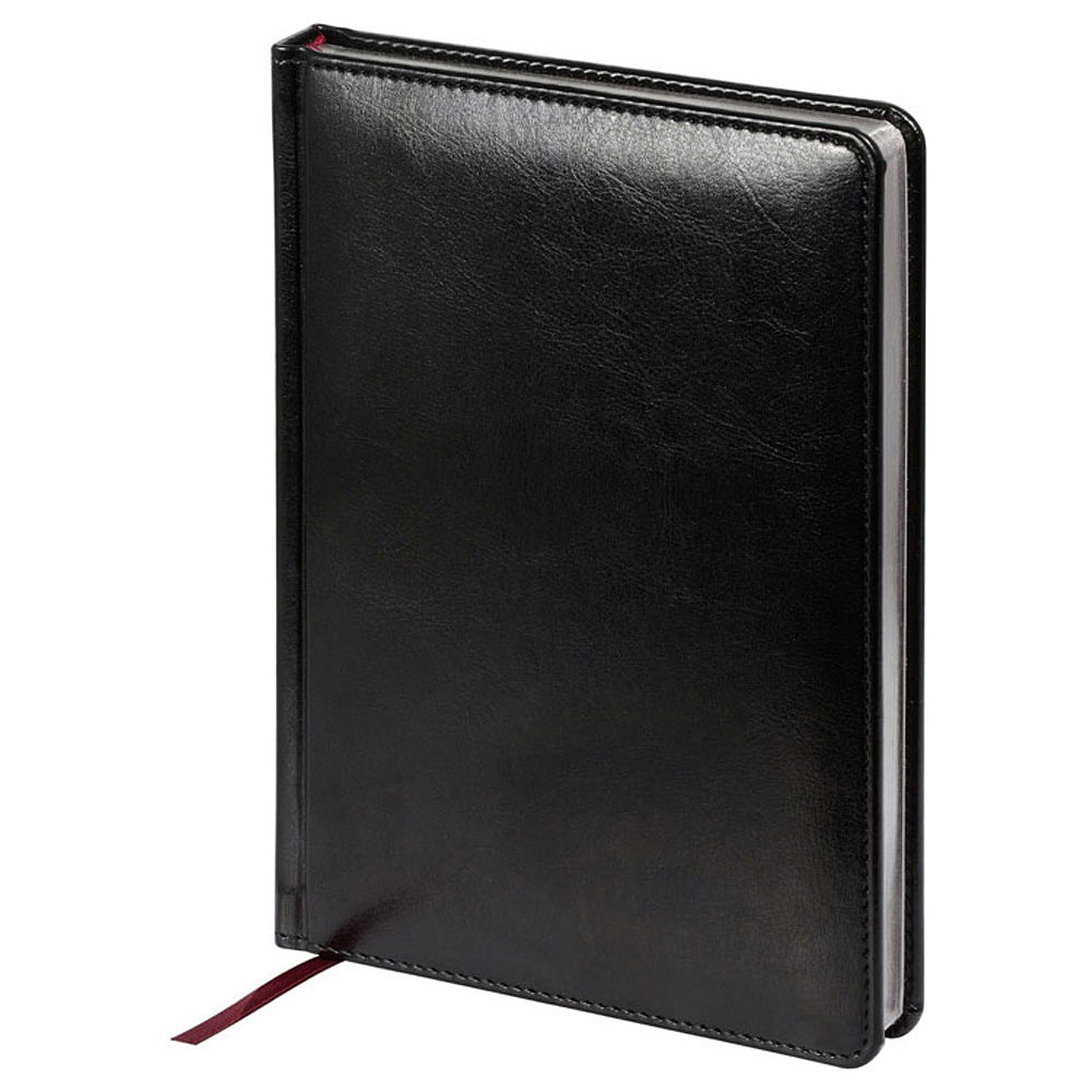 Ежедневник недатированный "Sidney Nebraska", А5, 272 страницы, черный