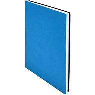 Ежедневник недатированный 