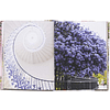 Книга на английском языке "London in Bloom", Lane G.  - 8