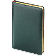 Ежедневник недатированный 