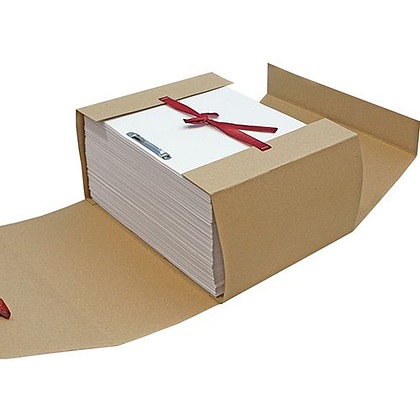 Папка-скоросшиватель с завязками, 120 мм, 4 завязки, крафт - 4