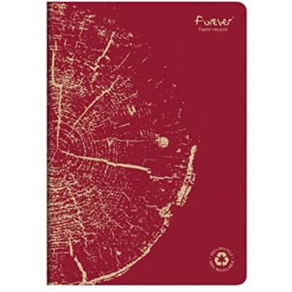 Блокнот Clairefontaine "Forever Premium", А4, 48 листов, клетка, ассорти - 4