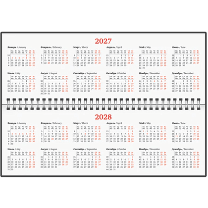 Планинг датированный "Select" на 2027 год, 305х140 мм, 120 страниц, линейка, коричневый - 3