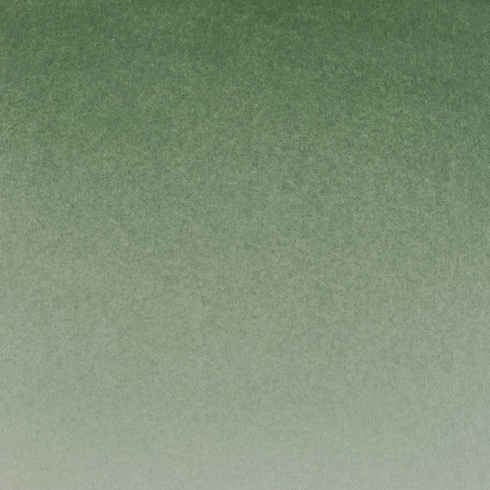 Краски акварельные "Белые ночи", 704 окись хрома, 10мл., туба - 3