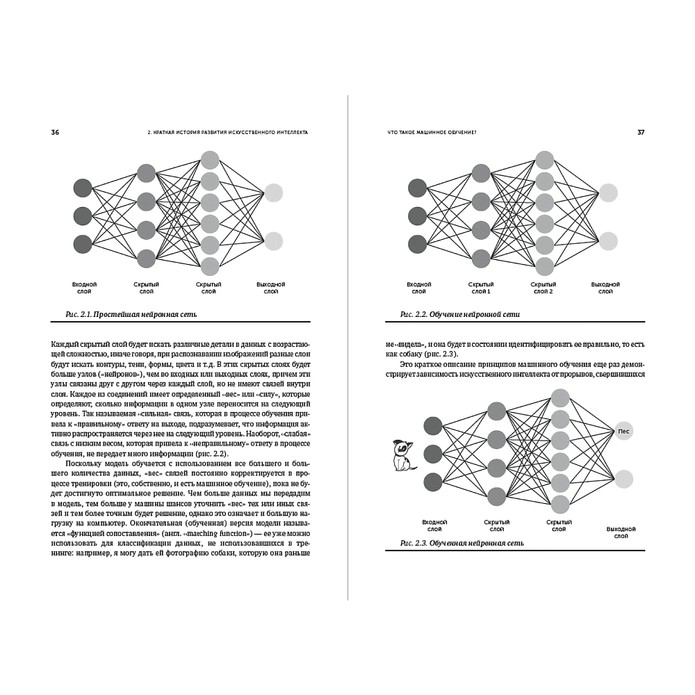 Книга "Искусственный интеллект — для вашего бизнеса. Руководство по оценке и применению", Эндрю Берджесс - 8