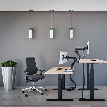 Стол подъемный WellDesk Uplift BOSCH (регулируемый по высоте каркас арт. 9050843 и столешница арт. 9031917) - 4