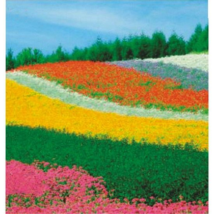 Клей-карандаш "Kores", 15 г - 4
