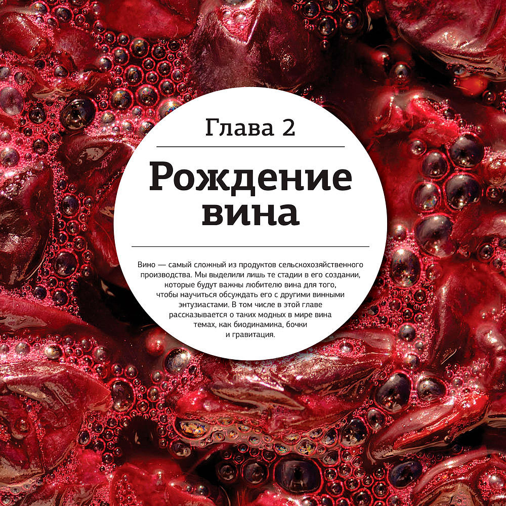 Книга "Просто о лучших винах. Новая энциклопедия" - 24