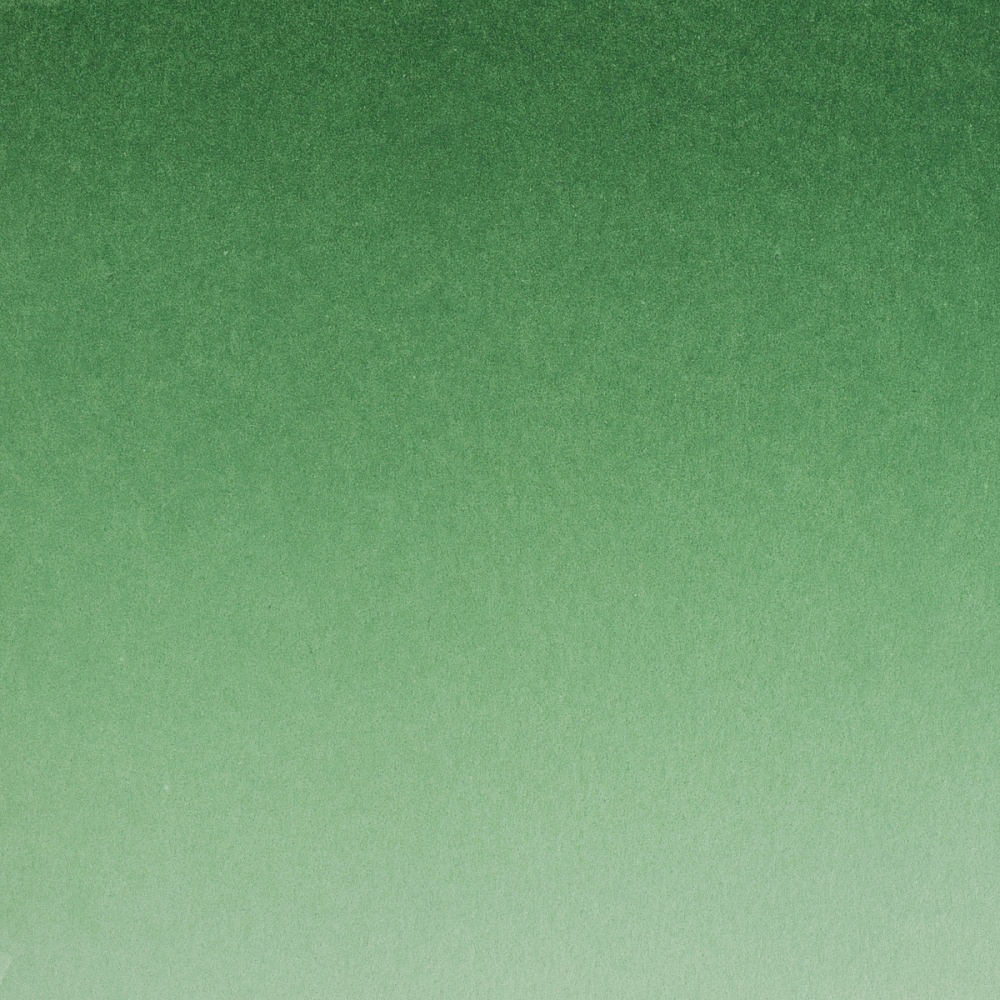 Краски акварельные "Белые ночи", 725 зеленая, 10мл., туба - 3