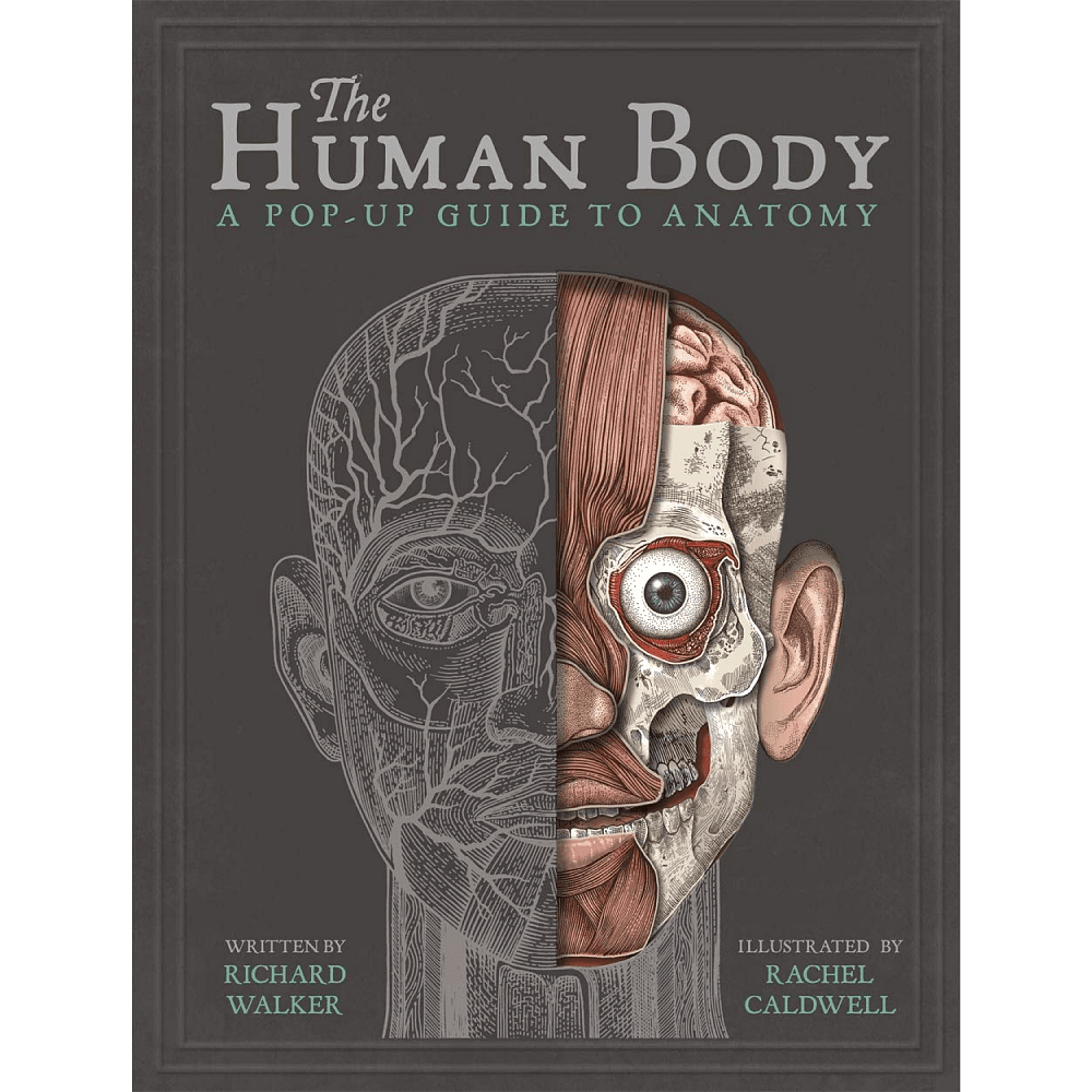 Книга на английском языке "The Human", Richard Walker