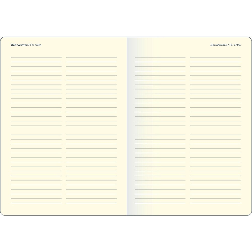 Ежедневник недатированный "Diary", А5, черный - 5