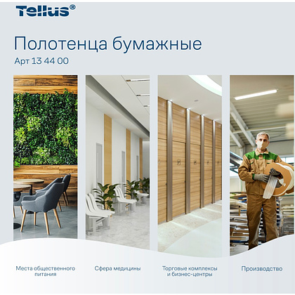 Полотенца бумажные Tellus Синглфолд Баланс HT3, листовые, 1 слой, 250 листов - 10