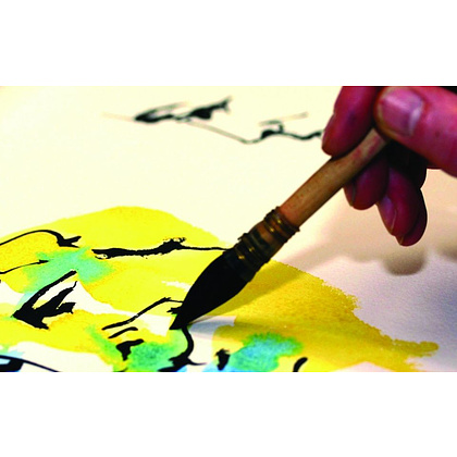 Краски акварельные "Van Gogh", 234 сиена натуральная, 10 мл, туба - 5