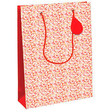 Пакет бумажный подарочный "Romance"