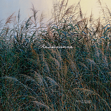 Ежедневник недатированный "Волнение", Валерий Шкарубо, А5, 272 страницы, черный