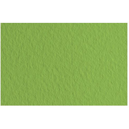 Бумага для пастели "Tiziano", А4, 160 г/м2, оливковый 