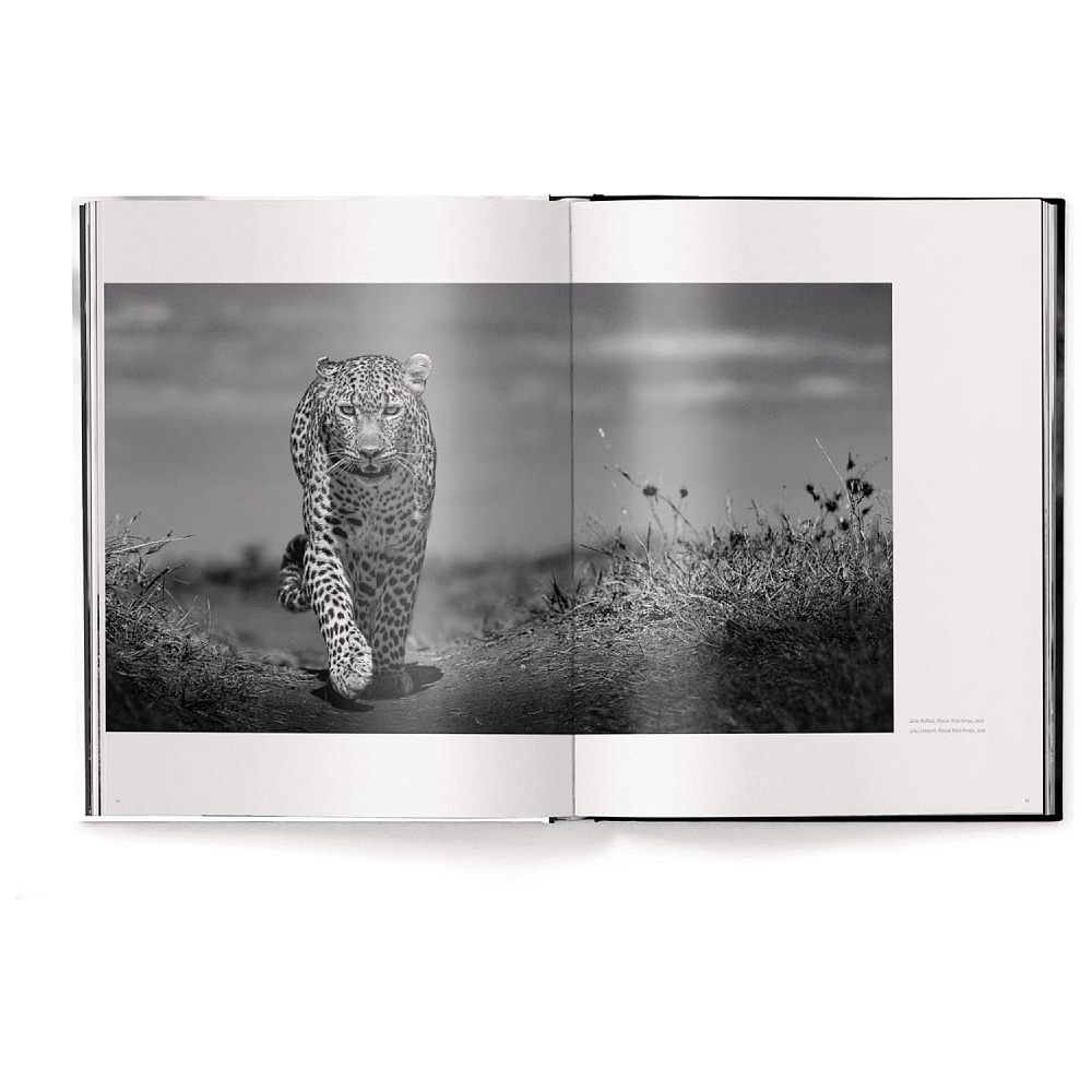 Книга на английском языке "Beusker. Look into my Eyes" HB, Lars Beusker - 2