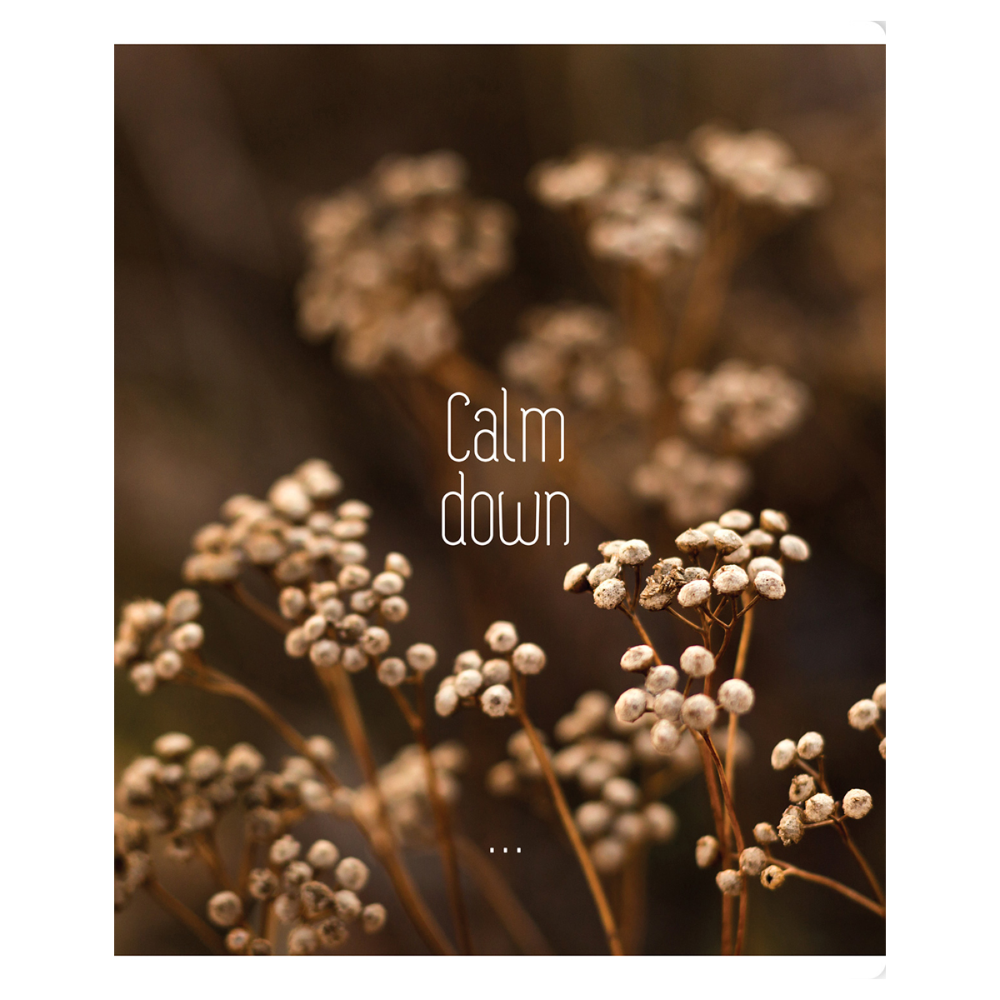 Тетрадь "Calm down", А5, 96 листов, клетка, скоба сбоку, ассорти - 5