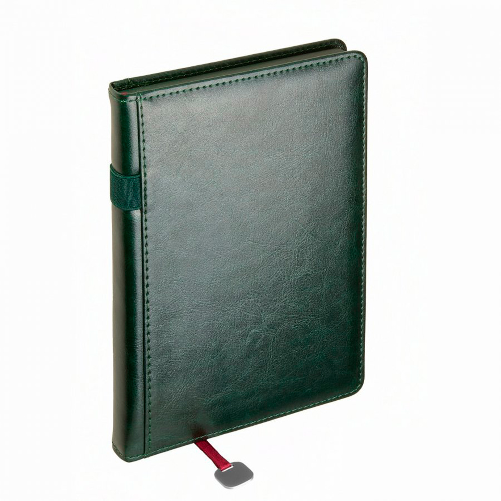 Ежедневник недатированный "Polo", А5, 320 страниц, зеленый - 2