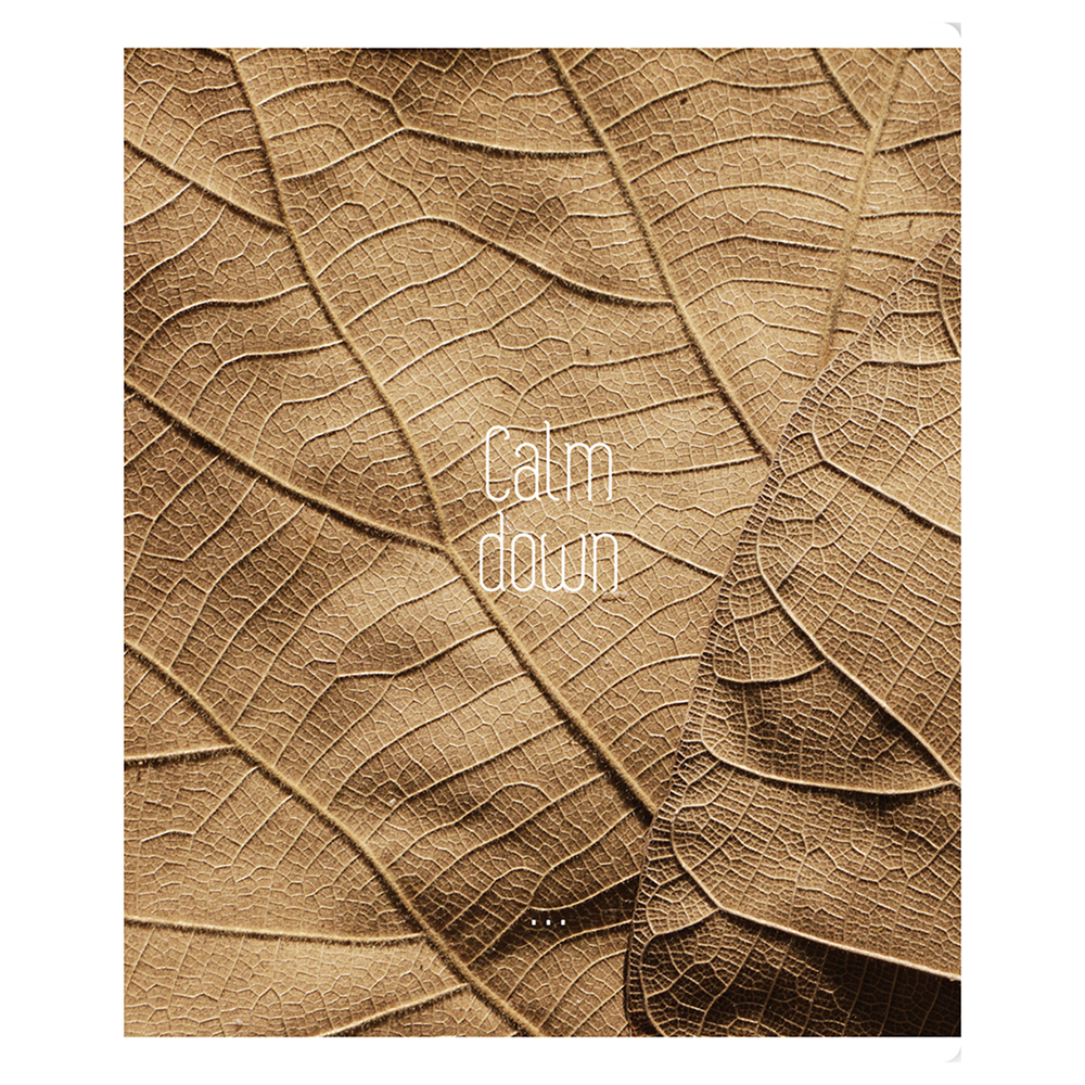 Тетрадь "Calm down", А5, 96 листов, клетка, скоба сбоку, ассорти - 3