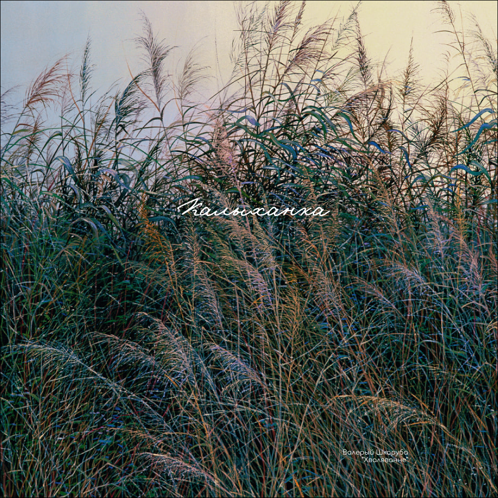 Ежедневник недатированный "Волнение", Валерий Шкарубо, А5, 272 страницы, черный - 2