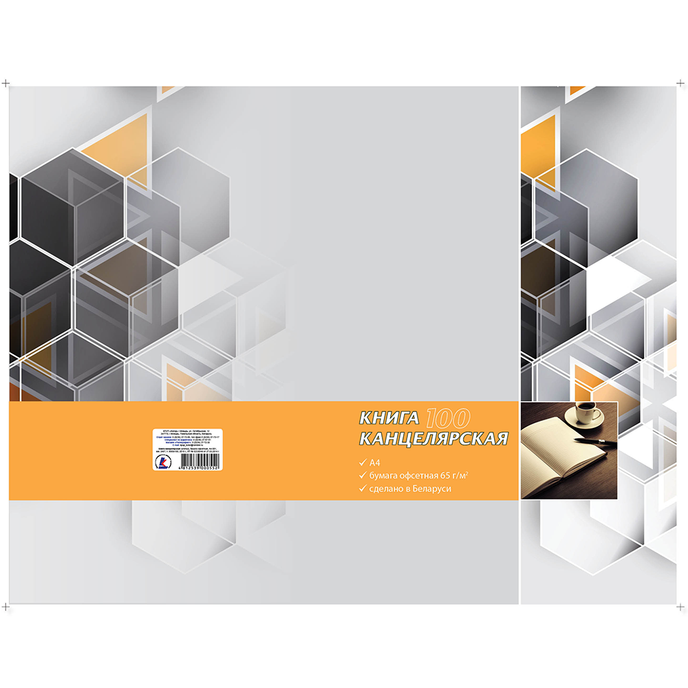 Книга канцелярская "Колор"