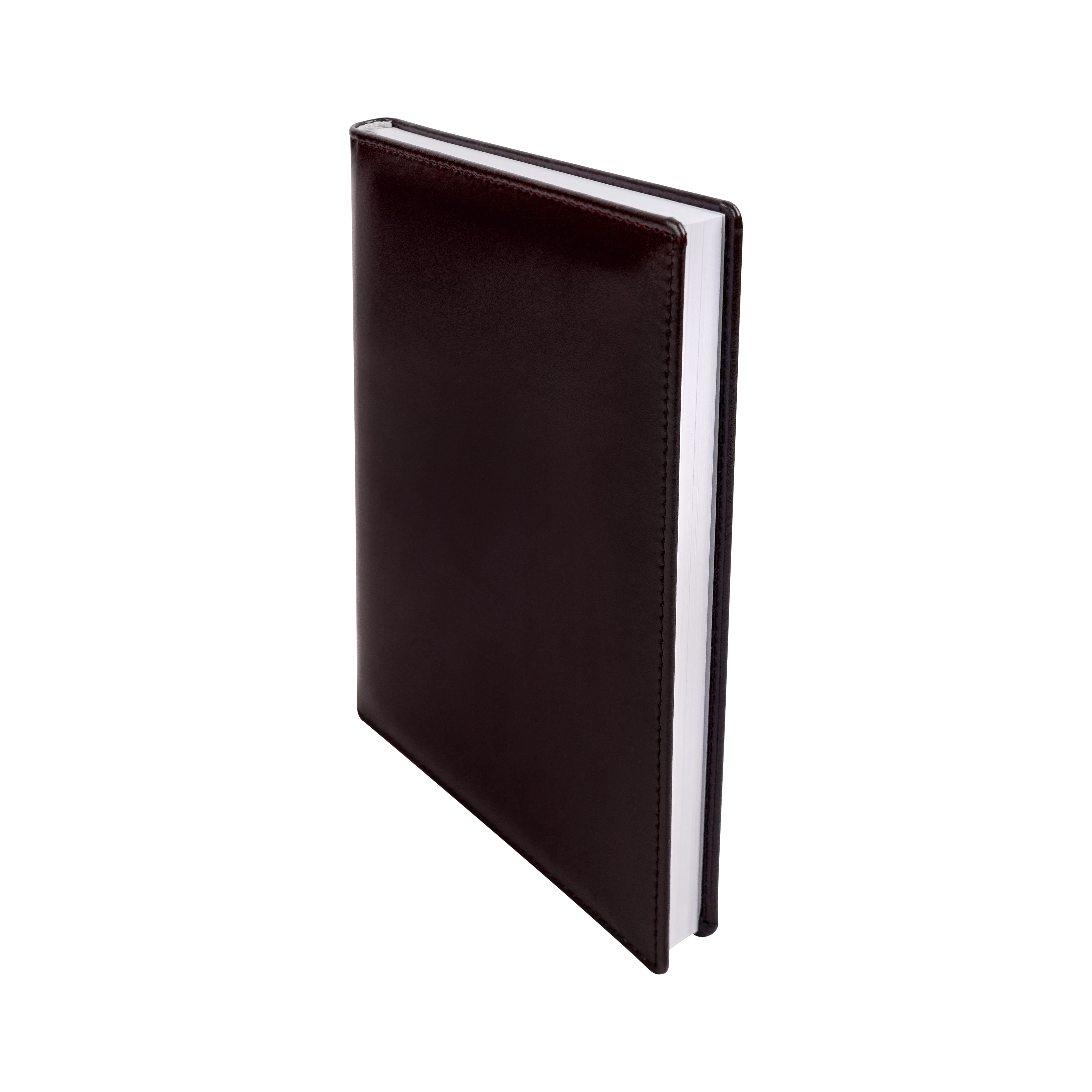 Ежедневник недатированный 