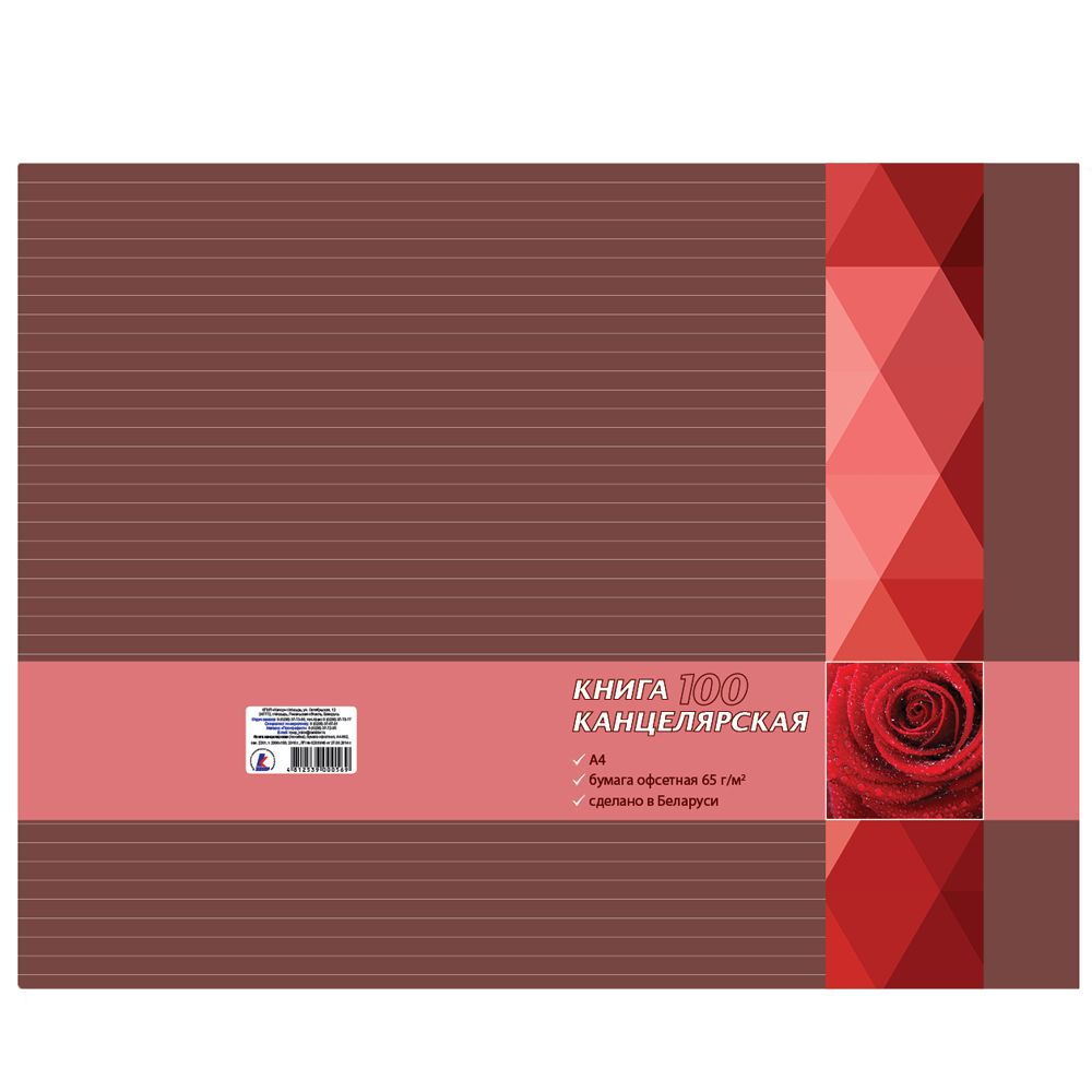 Книга канцелярская "Колор" (А4+1/2464)