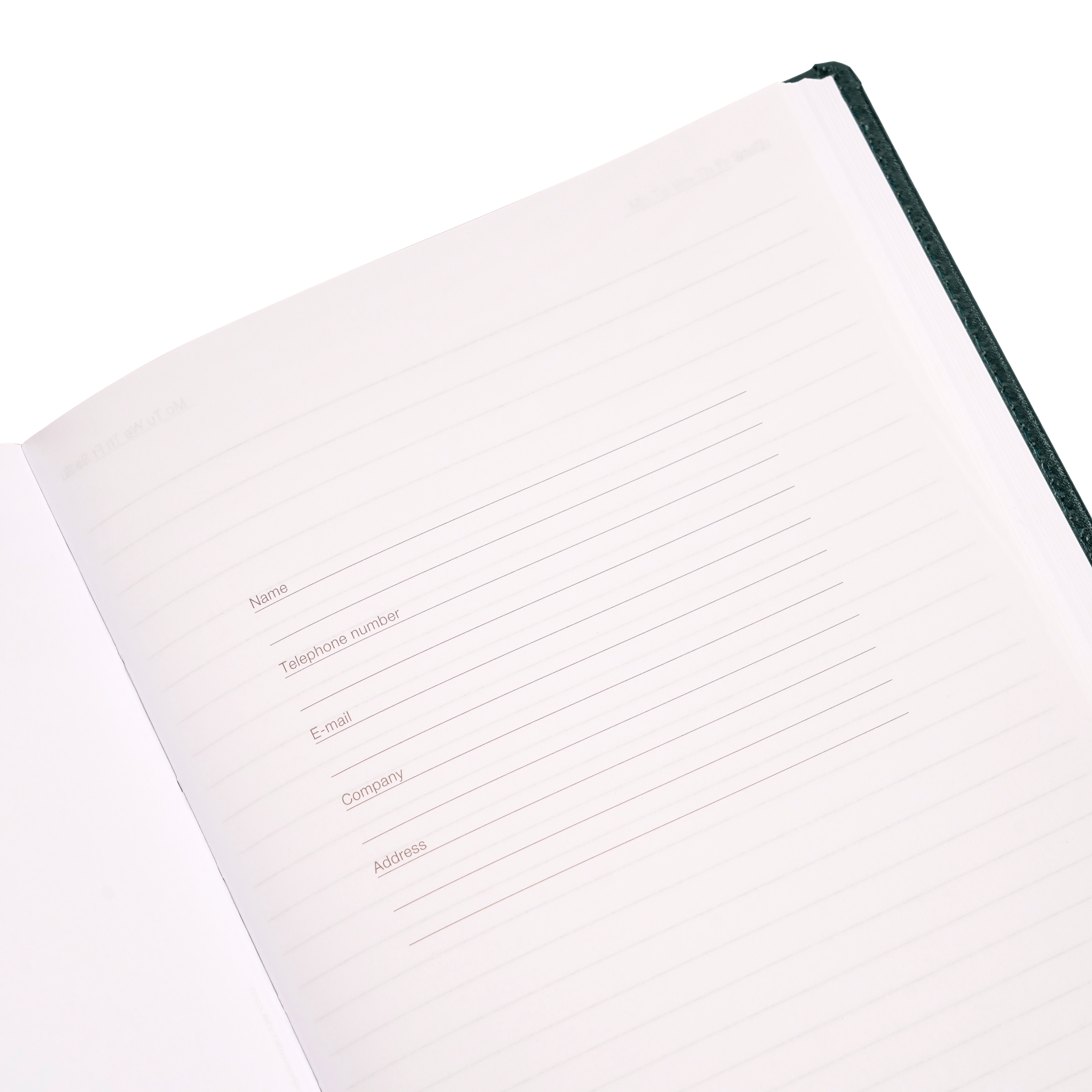 Ежедневник недатированный "Pelle Siena", А5, 272 страницы, зеленый - 9