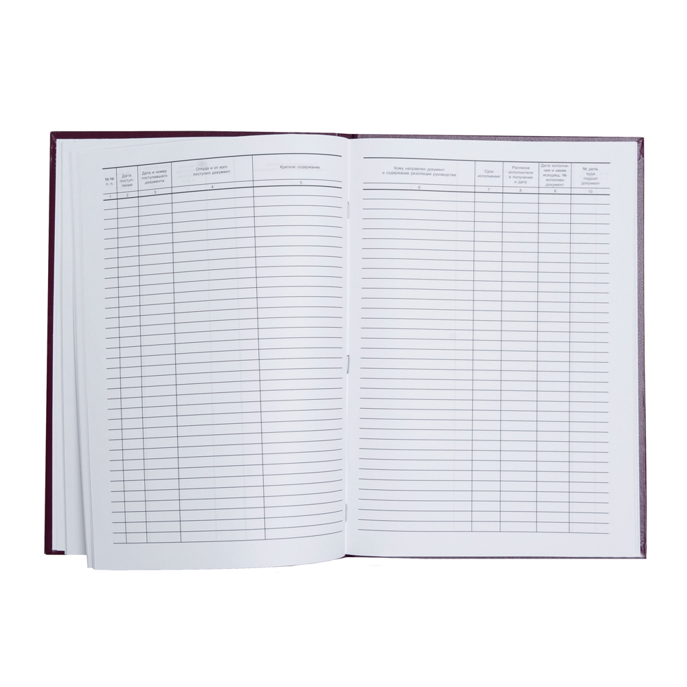 Книга канцелярская для входящей корреспонденции, A4, 100 листов, темно-зелёный - 2