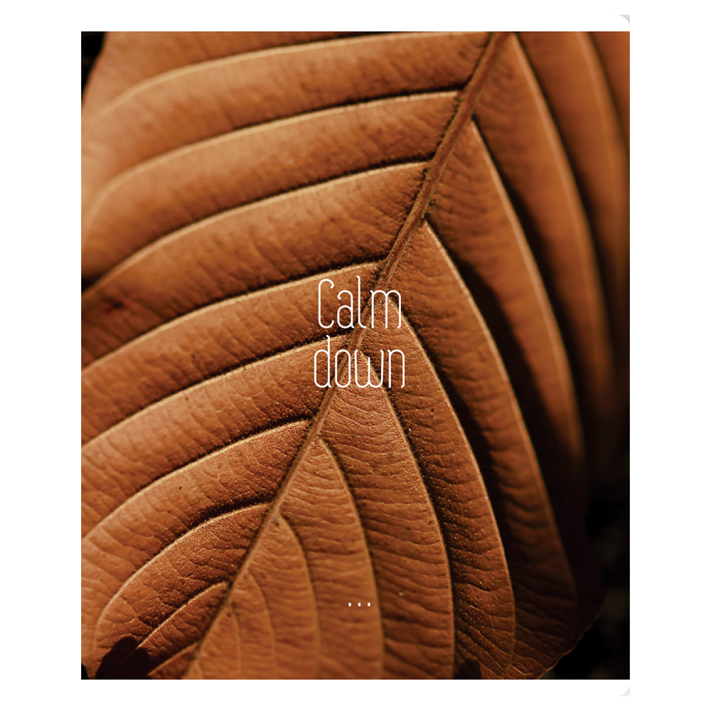 Тетрадь "Calm down", А5, 96 листов, клетка, скоба сбоку, ассорти - 4