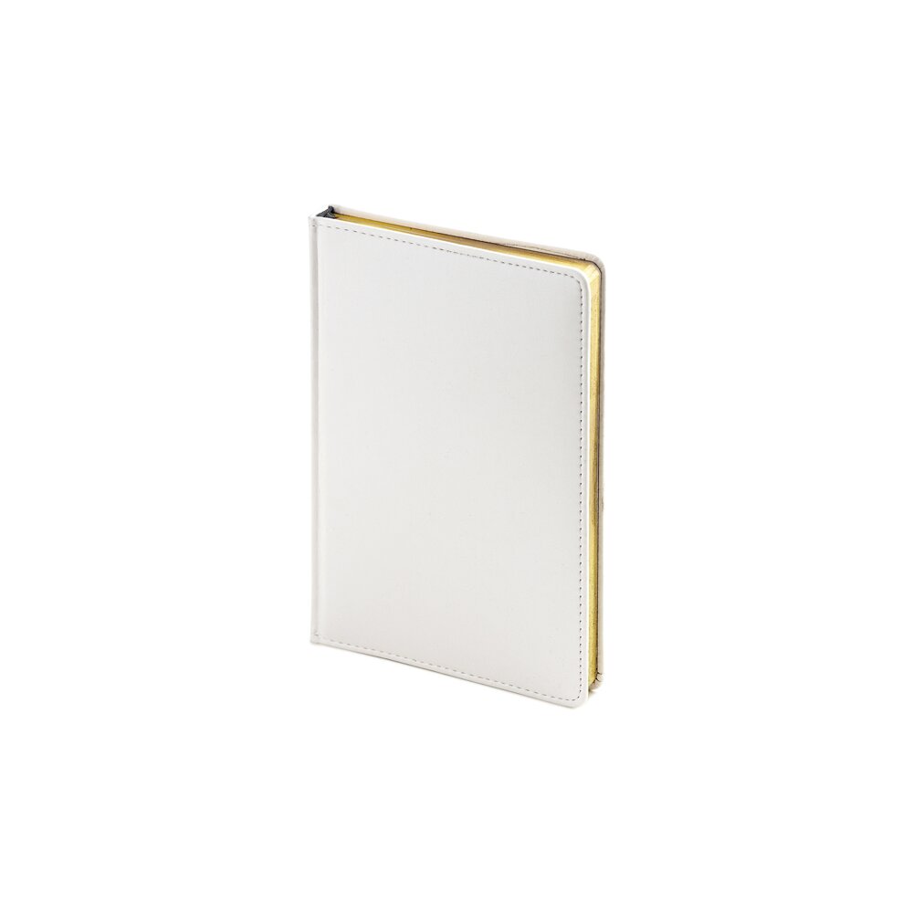 Ежедневник недатированный "Sidney Nebraska", серебристый обрез