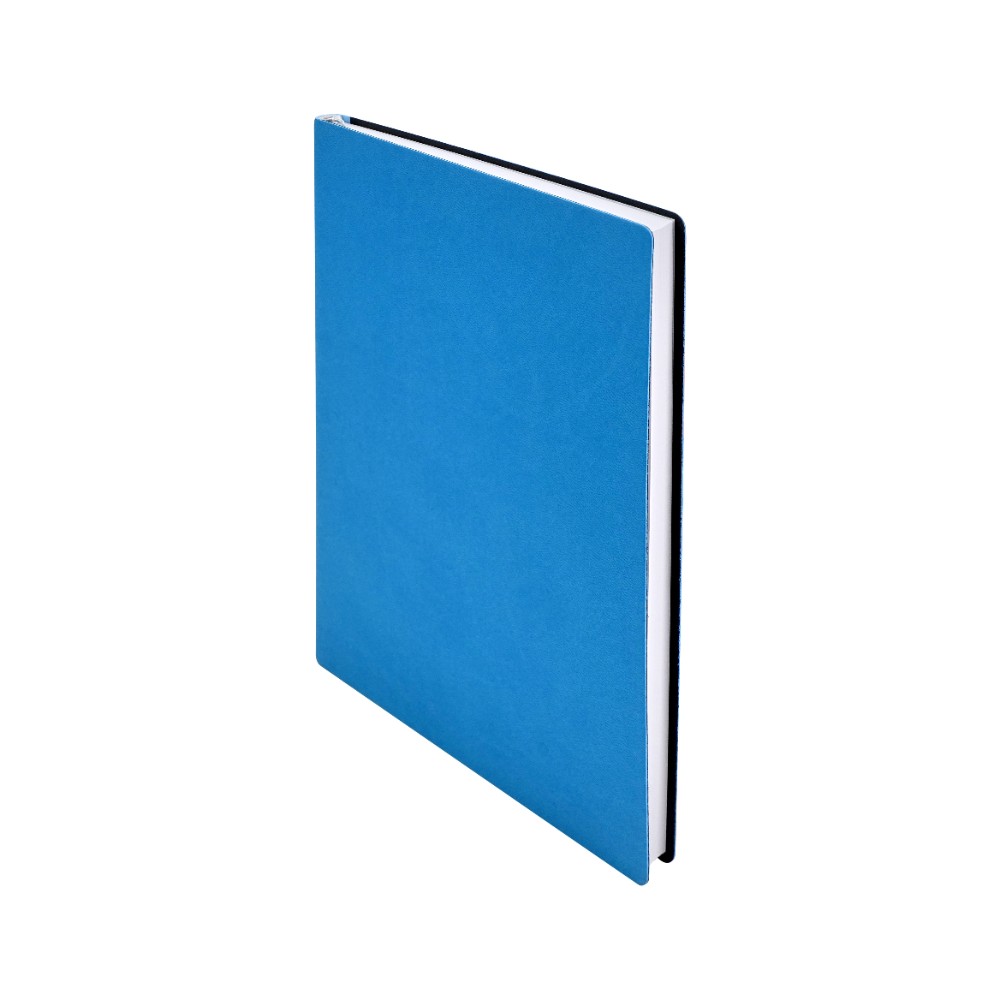 Ежедневник недатированный 